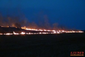 На три сигнала за пожар в района на Елхово са се отзовали дежурните огнеборци