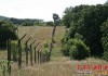 Елховски полицаи задържаха 187 метра крадена оградна мрежа от съоражение в граничното село Странджа
