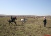 На 3 март (Тодоровден) ще се организират конни надбягвания в село Пчела