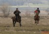 По повод Тодоровден в село Пчела се проведоха конни надбягвания