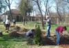 Снимки: Ръководство, служители и деца от социалното заведение, заедно засадиха цветя и дръвчета в Елхово
