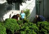 80% от жителите на Голямо Крушево се включиха в инициативата „Да изчистим България за един ден”