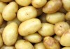 От 11 май фонд „Земеделие” приема заявления за помощ de minimis при отглеждането на картофи 