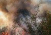 Видео и снимки: Усложнена остава обстановката на пожара, който започна преди едно денонощие в близост до Елхово