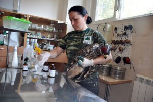 Зелени Балкани спасиха изостанало в растежа малко на царски орел в община Елхово