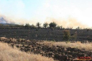 Пожарът около селата Раздел, Вълча поляна и Малко Кирилово е вече ликвидиран