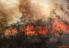 Продължава гасенето на пожара в района на селата Малко Кирилово и Вълча поляна