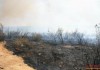 Спряно е разрастването на пожара в община Елхово