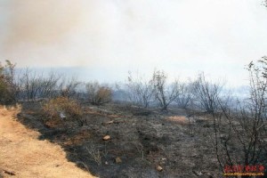 Спряно е разрастването на пожара в община Елхово