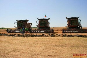 НАП Ямбол започва проверки на зърнопроизводители и търговци