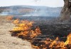 Изгоряха 250 декара смесена гора край Горска поляна и 500 бали със сено в Бояново