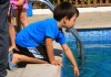 Снимки: Стартира лятното училище по плуване за децата в Елхово