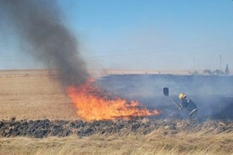 Пожар в масив с пшеница край Маломирово
