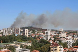 Пожар изпепели 500 декара в парк „Боровец” в Ямбол