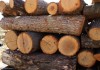 Откриха 15 куб. метра дърва за огрев без маркировка в село Изгрев