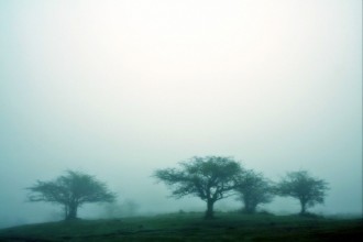 Отново жълт код заради мъгла в област Ямбол и още и 11 области в България
