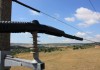 EVN България Електроразпределение стартира интернет-страница на проекта “Живот за царския орел” (Life for safe grid)