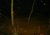 В град Елхово река Тунджа достигна праг от 4 метра, а тенденциите са през нощта да продължава да расте