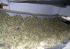Снимки: 30 килограма високорисково наркотично вещество иззеха служители от РУ-Елхово