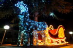 Снимки: Грейнаха светлините на Коледната украса в град Елхово