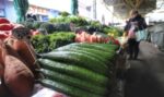 Асоциацията на земеделските производители: От април цените на плодове и зеленчуци ще са по-разумни