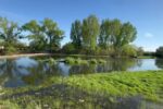 Нивото на река Тунджа при Елхово спадна до критично ниски нива