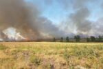 Пожар обхвана над 1000 декара между селата Гранитово и Мелница